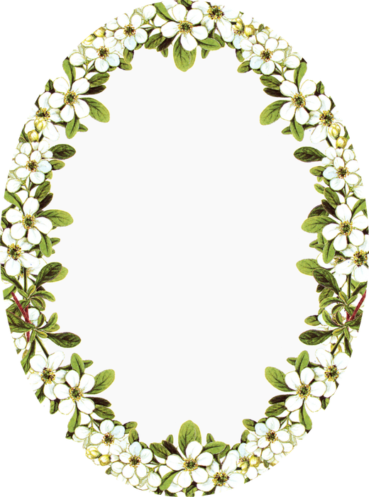 Oval Frame Png Photo (white, black)