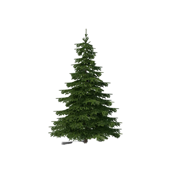 Evergreen Transparent Background (black, green, white)