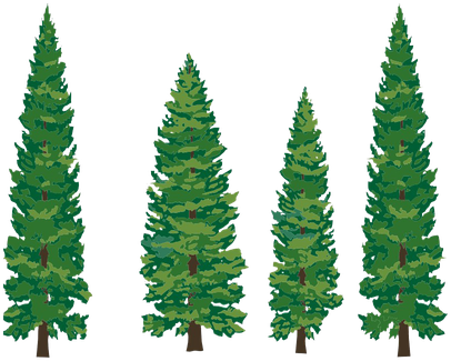 Evergreen Transparent Png (black, green)