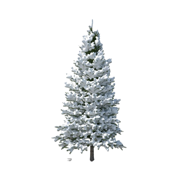 Evergreen Tree Png File (lavender, white)