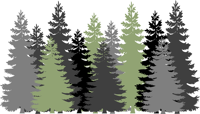 Evergreen Tree Png Image (indigo, black, gray, white)