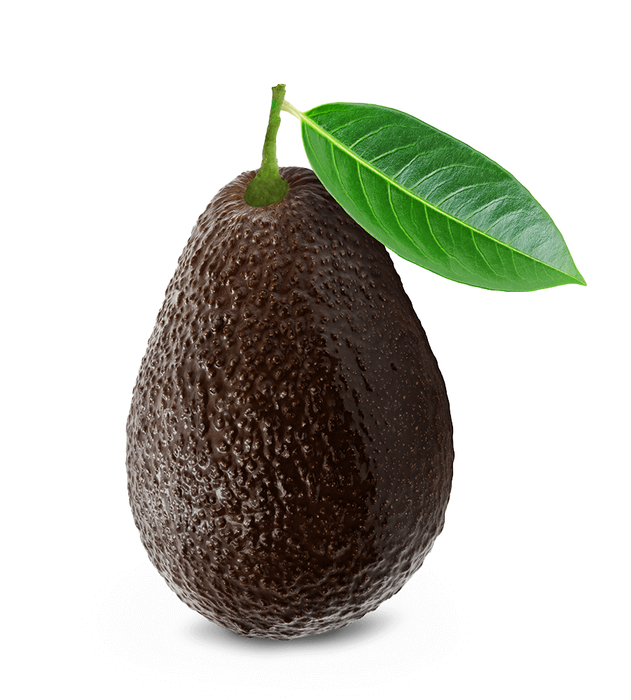 Avocado Png Transparent (black)