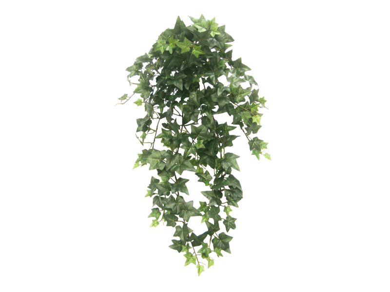 Ivy Hanging Png Transparent Picture (black)