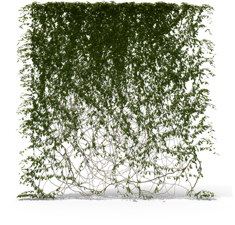 Ivy Hanging Png Transparent (black)