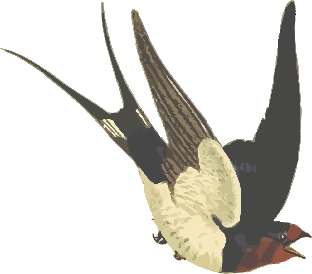 Swallow Png Hd (indigo, black, gray, beige)