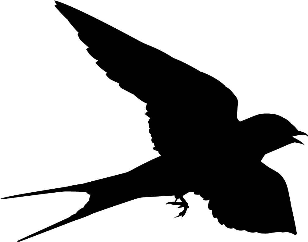 Swallow Png Isolated Transparent Picture (black)