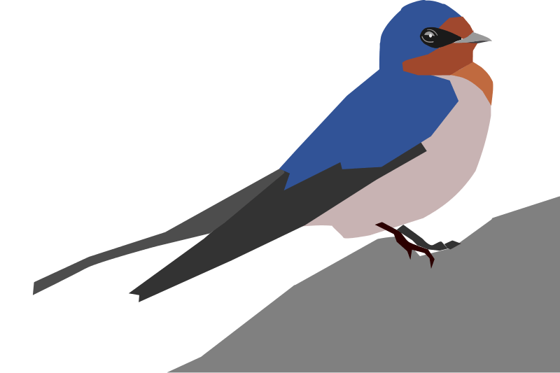 Swallow Png Pic (teal, black, gray, silver)