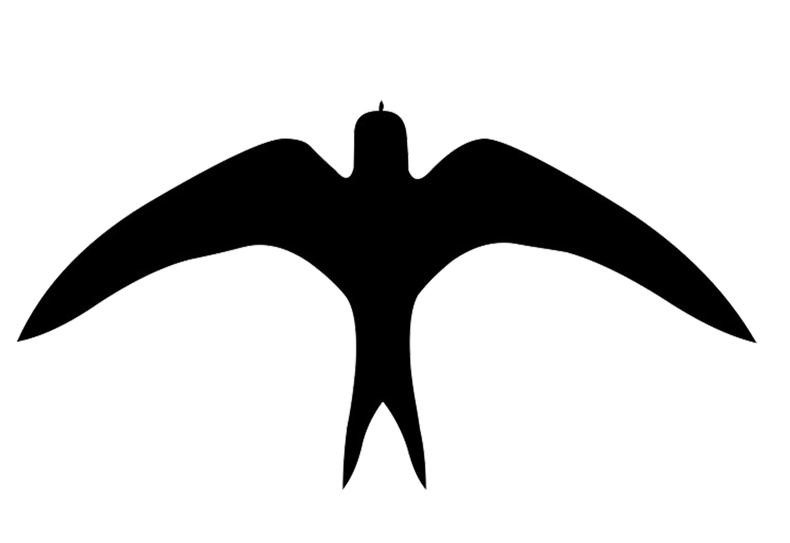 Swallow Transparent Png (black, gray, lavender, white)