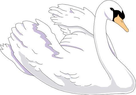 Swan Png Clipart (black, lavender, white)