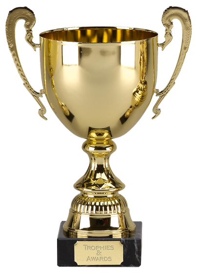 Award Cup Png Hd Isolated (black, silver)