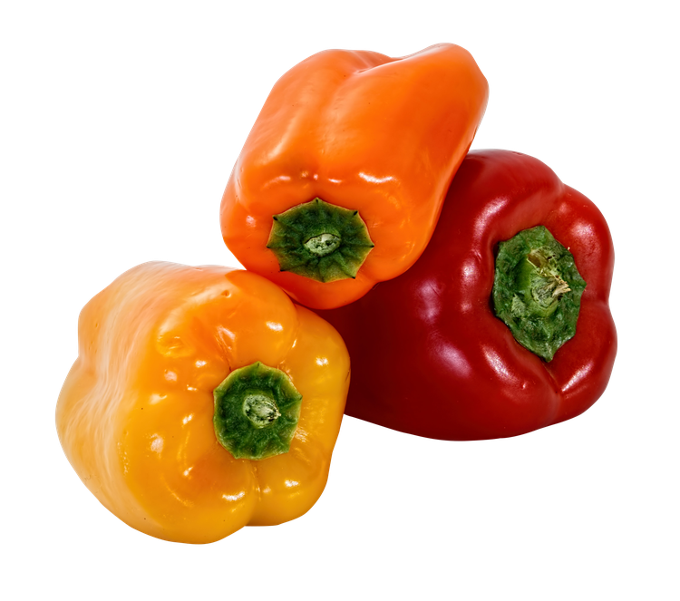 Sweet Bell Pepper Transparent Png (black, maroon)