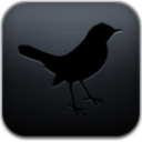 Tweetdecemberktwitter Bird Animal Twitteardiciembre Free Transparent Png Icon Download (black)