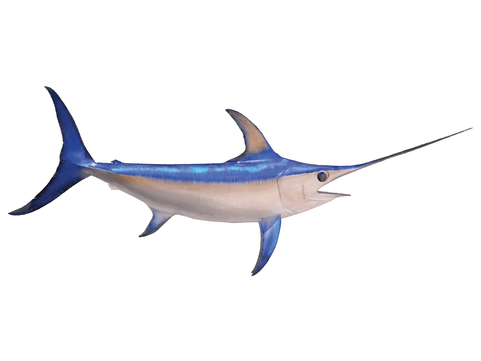 Sword Fish Png Hd Isolated (gray)