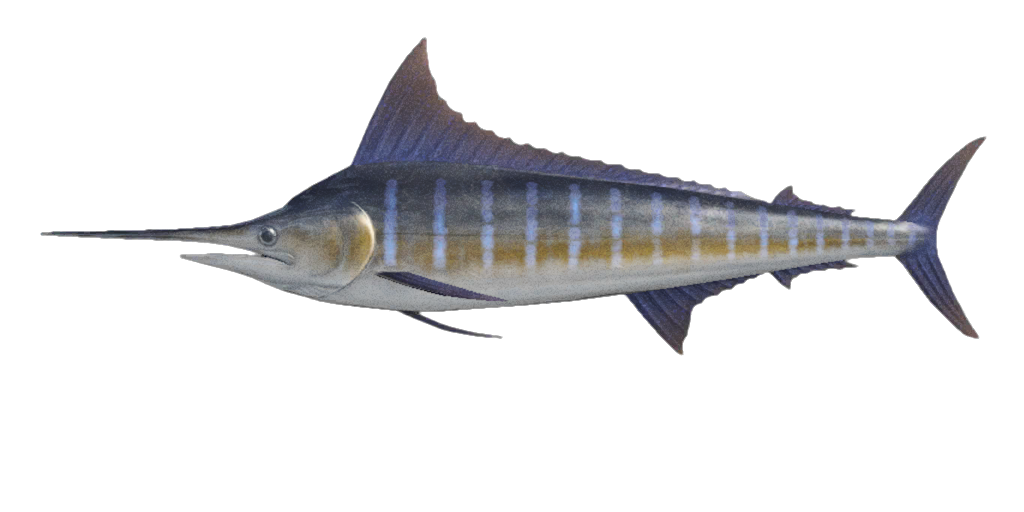 Sword Fish Png Image (black, silver)