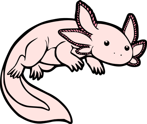 Axolotl Transparent Png (beige, black)