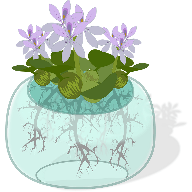 Hyacinth Png Isolated Clipart (gray, olive, silver, lavender, mint)