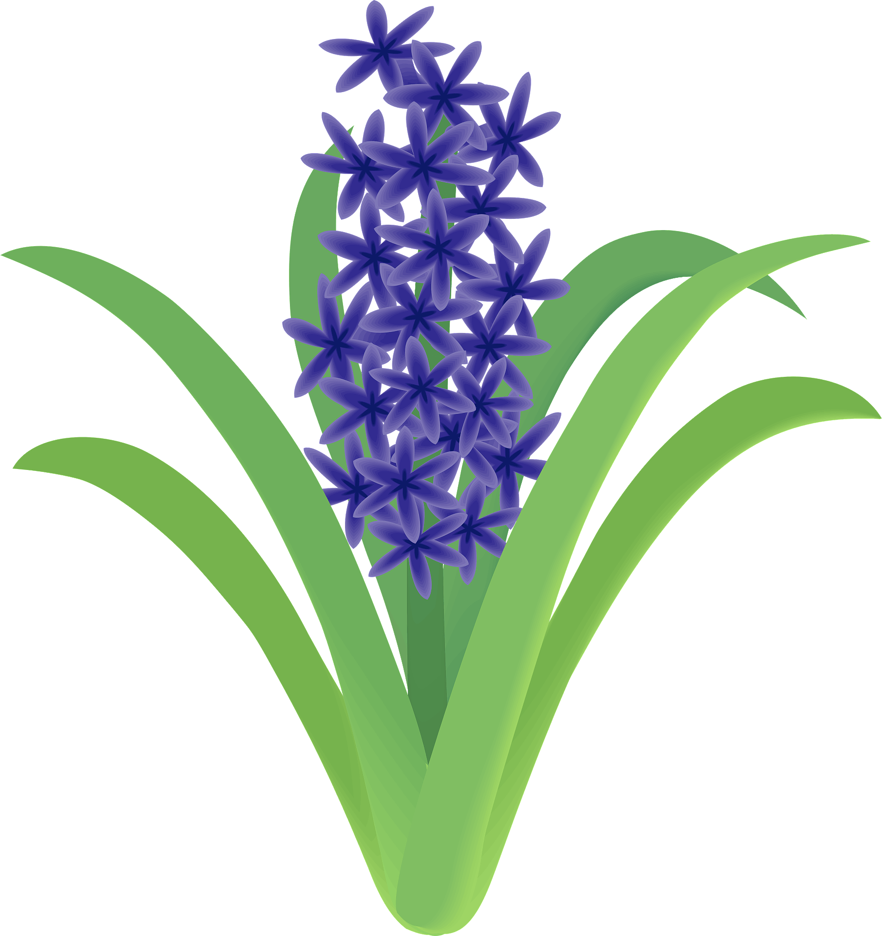 Hyacinth Png Isolated Photos (gray)