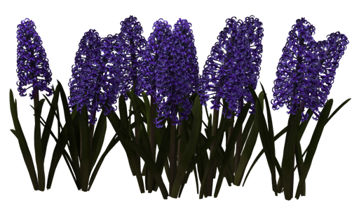 Hyacinth Png Pic (black)