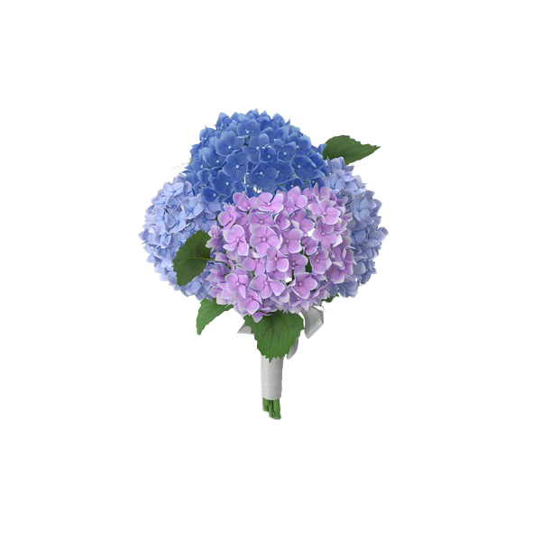 Hydrangea Flower Png Clipart (white, silver)