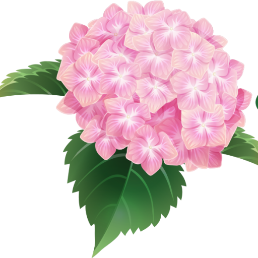 Hydrangea Flower Png Transparent Image (pink, green, black)