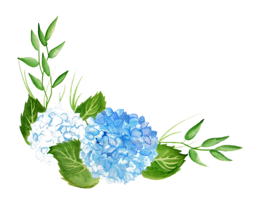 Hydrangea Png Hd (black)