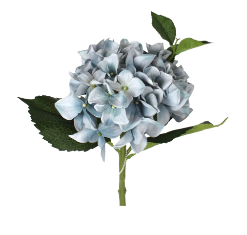 Hydrangea Png Image (black)