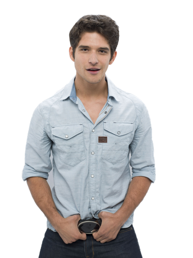 Tyler Posey Png Hd (black, silver)