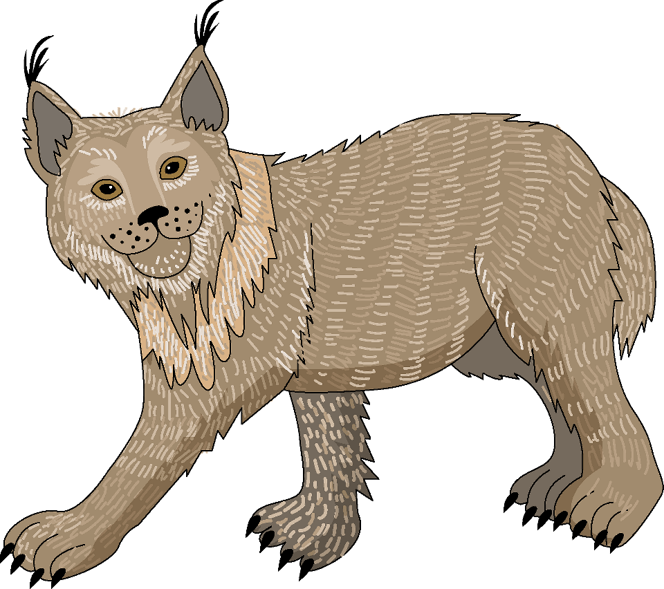 Lynx Png Clipart (gray)