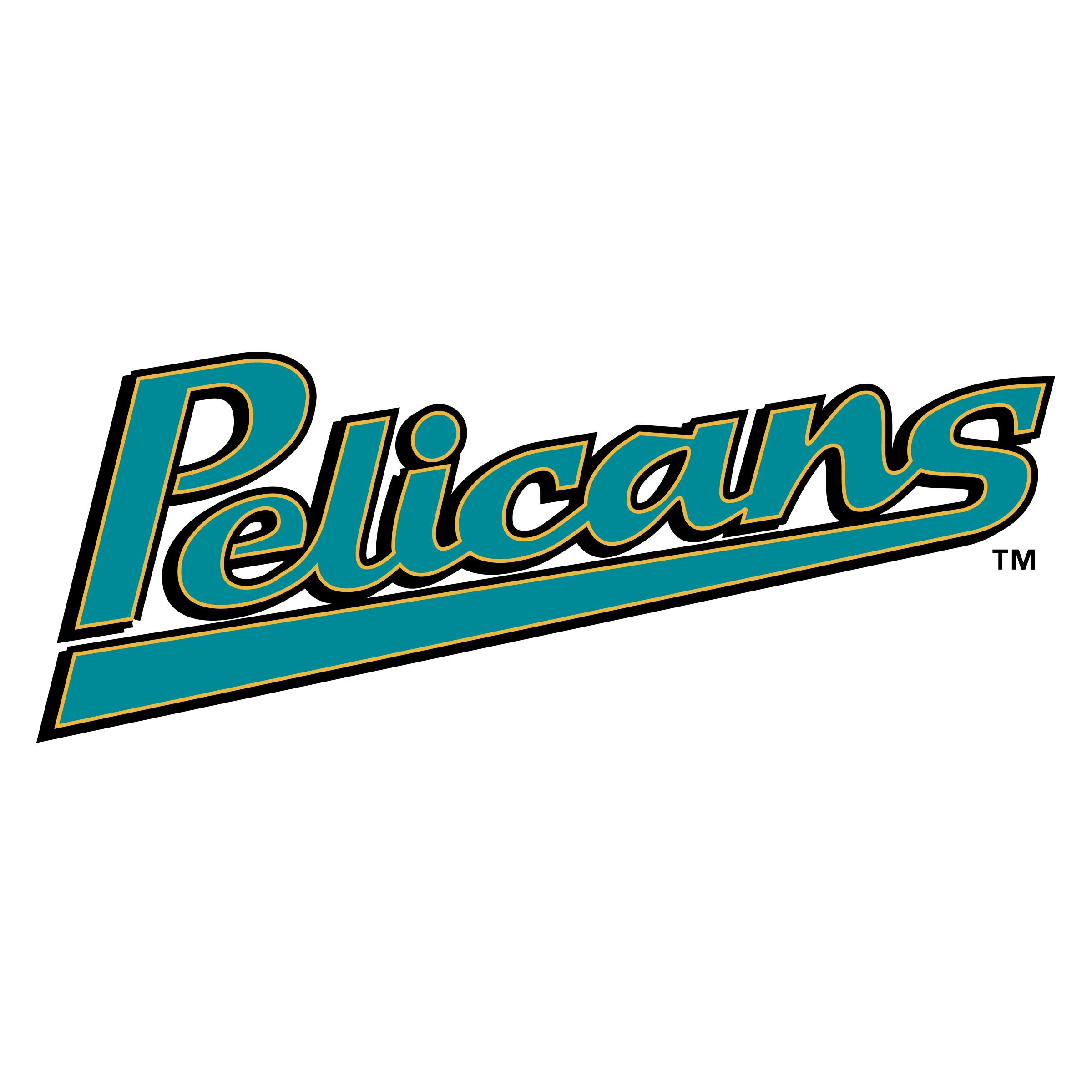 Myrtle Beach Pelicans Png File (black, teal)